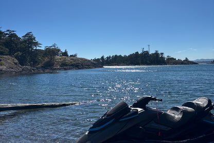 SURF CLUB