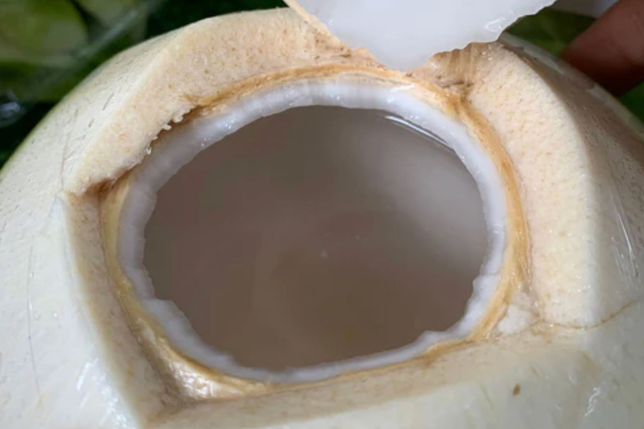 Young Coconut | Fresh