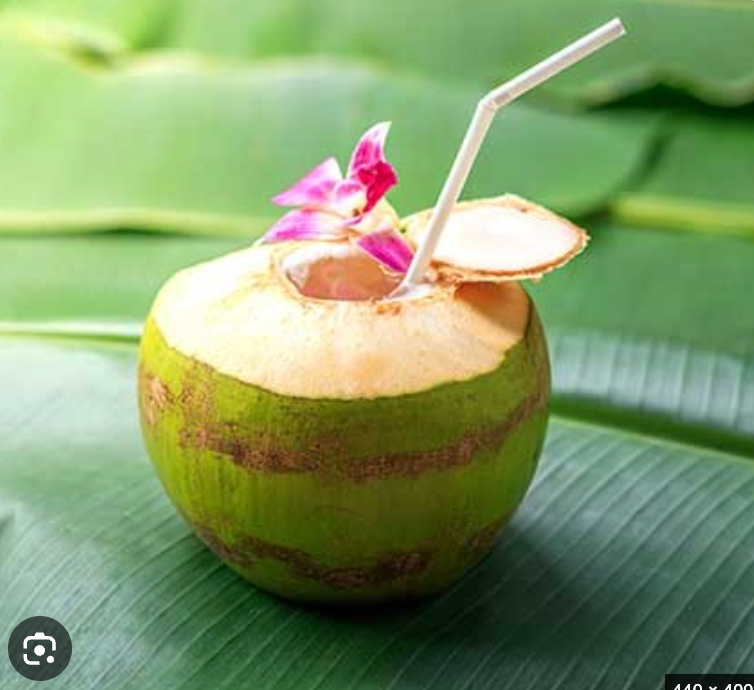 Coconut Water ( 333ml )